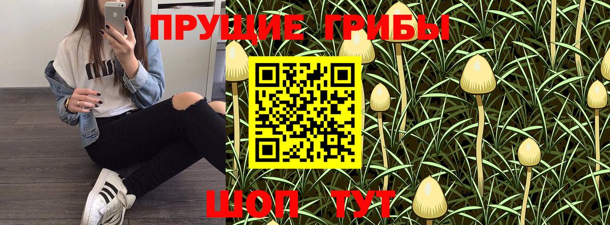 Псилоцибиновые грибы мухоморы Люберцы